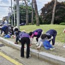 정자2동 이미지