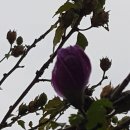 대구기상대기념공원 이미지