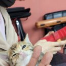 아지트 당구클럽 이미지