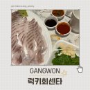 럭키회센타 | 강릉 교동 포장 횟집 추천 럭키회센타 내돈내산 솔직후기