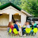 유명산둥지 이미지