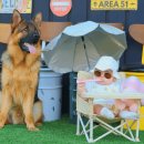 파주힐링몽 이미지