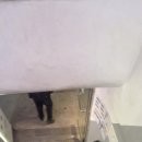 코니코인노래연습장 이미지