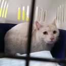 한스동물병원 이미지