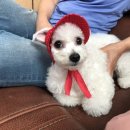스토리카페소소 이미지