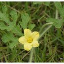 바다조아펜션 이미지