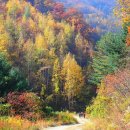 수산리-2 이미지