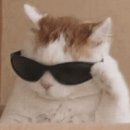 눈시원안과의원 이미지