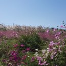 석성보건진료소 이미지