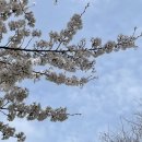 (주)카우보이그릴 이미지