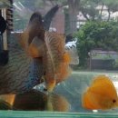 비바리움매니아 이미지