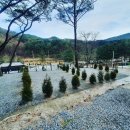 산정호수돌고래캠핑장;관광농원 이미지