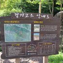 회남재길 이미지