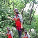 향수(온산) 이미지