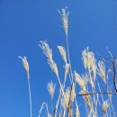 화왕산민박 이미지