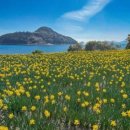 흑진주마리나리조트 이미지