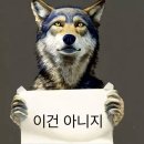 봄날의 햇살은 유독 다정한 편이야