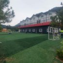 토브모터스 이미지