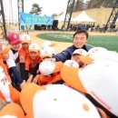 향남 야구장 야구장 이미지