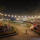 원골어린이공원 | [충청남도 공주시] 유구색동수국정원