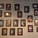 청주고양이입양지원센터 애니멀공화국 이미지