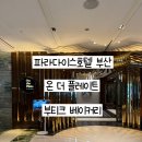 더플레이트 이미지