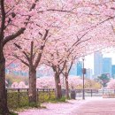 강변2리마을회관 이미지