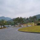 스톤게이트C.C 이미지