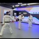 체육의 신 태권도장 이미지