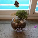 대구중리초등학교 이미지