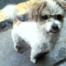 남현동-4 이미지