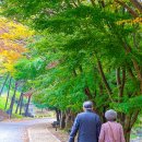 신유 묘역 이미지