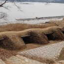 인삼문화센터 이미지