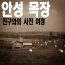 흑성목장 이미지