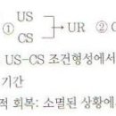 5. 행동주의 학습이론 - 고전적 조건형성 이미지