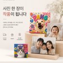 투개더 | [내돈내산] 반려견 액자, 커스텀 컨버스 액자 후기, 펫피투개더