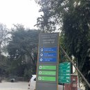 411001 | 푸네 | 인도에서 황열 주사 맞은 후기