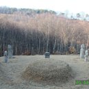 노한묘와 신도비 이미지