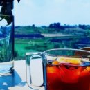 아이제이팜 이미지