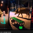 정릉초등학교 이미지