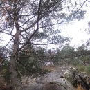 독용산(禿用山 955m)경북성주151112 이미지