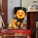 [8~9개월차 아기] 5박 6일 장거리 이동 꿀팁 및 준비물 (전주동물원, 태안아일랜드리솜)