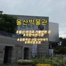 (유)대은환경산업개발 | 울산관광지 울산박물관 위치 주차 어린이전시관 라이징포트 울산 아이와 가볼만한 곳