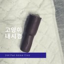 분당 필동물병원 이미지