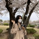 워너비.앰 | 중증블베병환자의 블랙베리키투 후기 (사담만 한바가지)