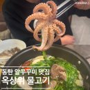 옥상위 물고기