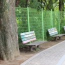 분원초등학교 이미지