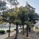 창이대로-1 이미지