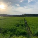 솔올펜션 이미지