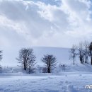 하얀렌트카(주) 이미지